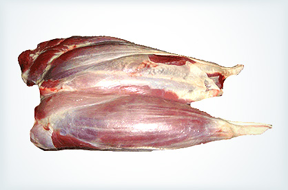 Shink shank